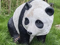 -武汉动物园