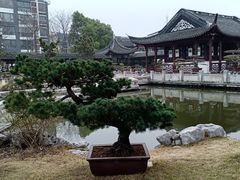 -泰州凤城河风景区-泰山公园