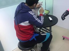 -圣宠动物医院·犬猫专科·影像中心·外科中心