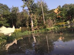 -西双版纳傣族园