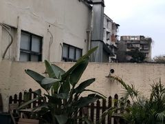 -时间逆·烘焙
