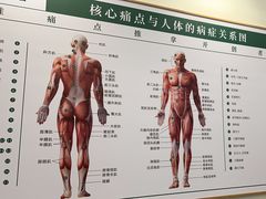 -通透堂中医·精准推拿(万科云城分院)
