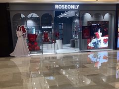 -ROSEONLY诺誓(国际广场购物中心店)
