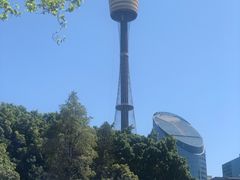-悉尼塔旋转餐厅