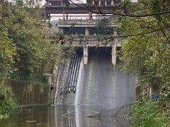 -重庆彩云湖湿地公园