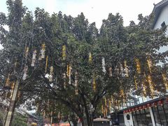 -磁器口古镇