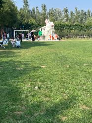 点击看大图 -优沃得自然教育农场·冰雪乐园·生日会·研学