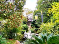 -八大山人梅湖景区