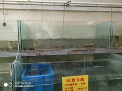 -喜洋洋蟹庄(阳澄湖店)