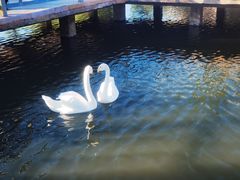 -鄂尔多斯野生动物园