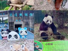 -大连森林动物园