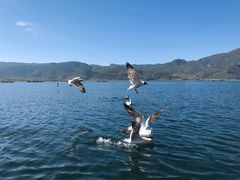 -丽江泸沽湖景区