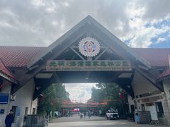 -上海海湾国家森林公园