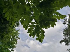 -公盂村