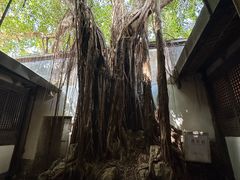 -文儒九号·闽菜馆(三坊七巷店)