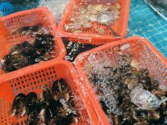 -亚马逊环球美食百汇(新城吾悦广场店)