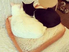 -长发西饼(道前店)