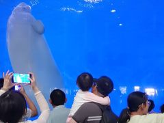 -泉城欧乐堡海洋极地世界