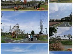 -王借岗森林公园