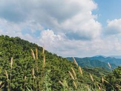 -四明山国家森林公园
