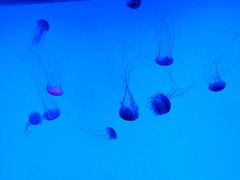 -沈阳海洋探索中心