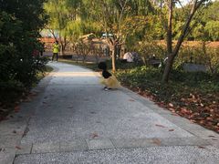 -自然谷恐龙园