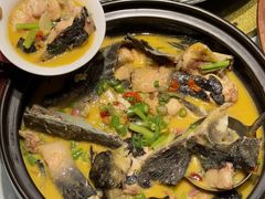 -饭怕鱼·黄焖鲟龙鱼(湖大店)