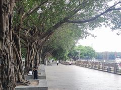 -黄埔古港