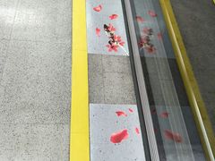 -烈士陵园(地铁站)