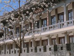 -小湾茶楼