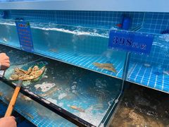 -王潮活海鲜自助·蒸汽海鲜