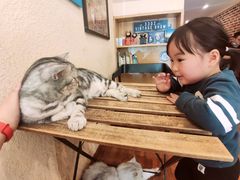 -猫友咖啡店(玉林西路店)