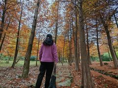 -南京市无想山景区