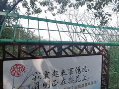 -树山生态村
