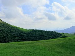 -大姆山草场