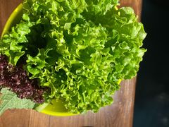 烤肉配菜-明洞阿姨·韩式酱蟹烤肉·创意料理(三元桥店)