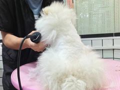 -宠匠·爱宠堡 PET CASTLE
