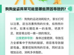 -瑞派申生动物医院·24H夜诊·国际动物医疗中心·骨外科(吴中路店)