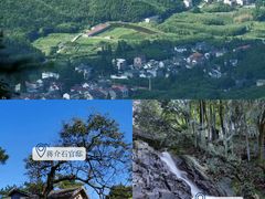 -莫干山风景区