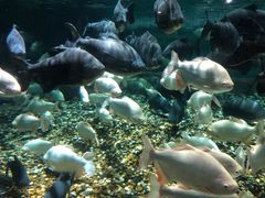 -成都浩海立方海洋公园