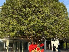 -昆山城市生态森林公园