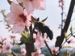 -杭州屏风山越野车营地·团建别墅轰趴民宿