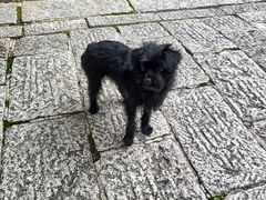 -天津盘山风景名胜区