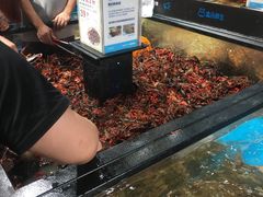 -盒马鲜生(曜一城店)