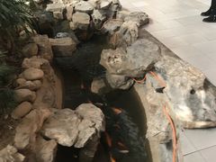 -森谷美食公园(杨行店)