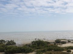 -北海金海湾红树林生态旅游区