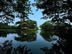 -瑰丽酒店·海吧·天际下午茶·现场DJ·天台酒吧
