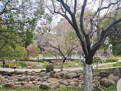 -昆山城市公园