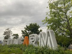-光明小镇欢乐田园
