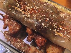 烤苕皮-杨小佳·齐齐哈尔烤肉·烤串(广州店)